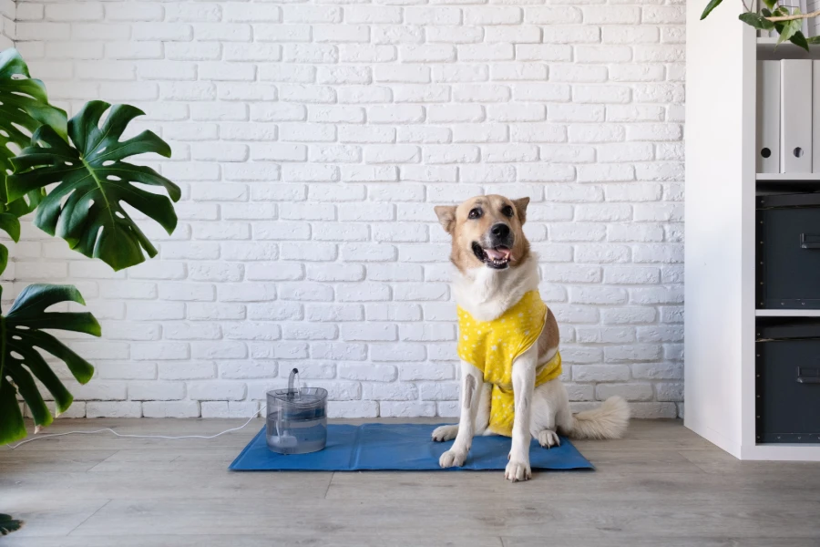 gel mat for pets
