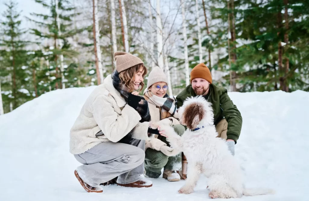 Safety Essential for Modern Winter Travel