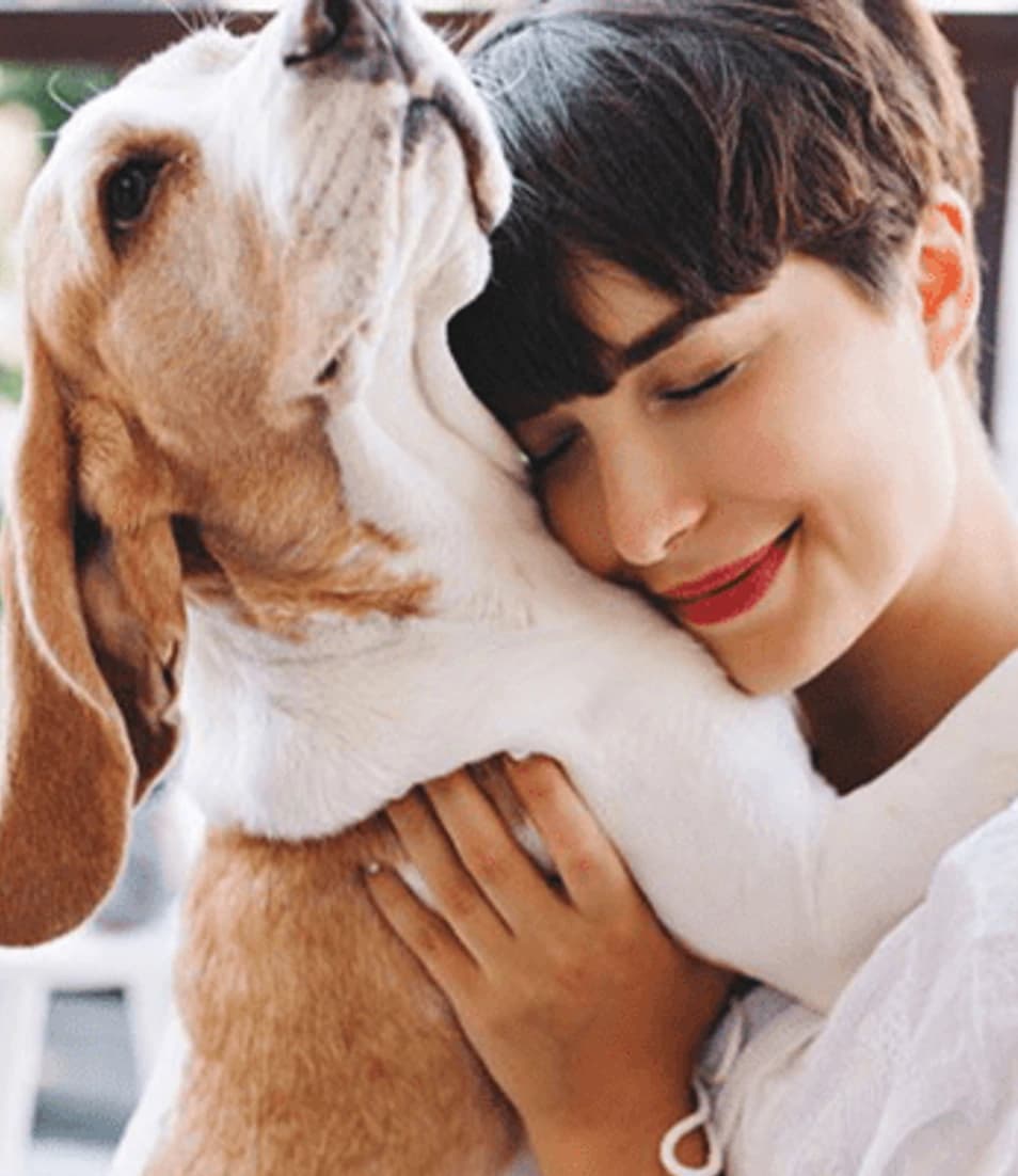 Pet Care