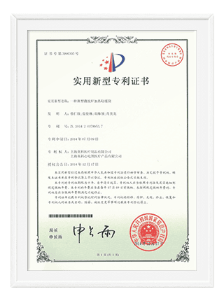 Patent 22