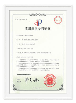 Patent 12