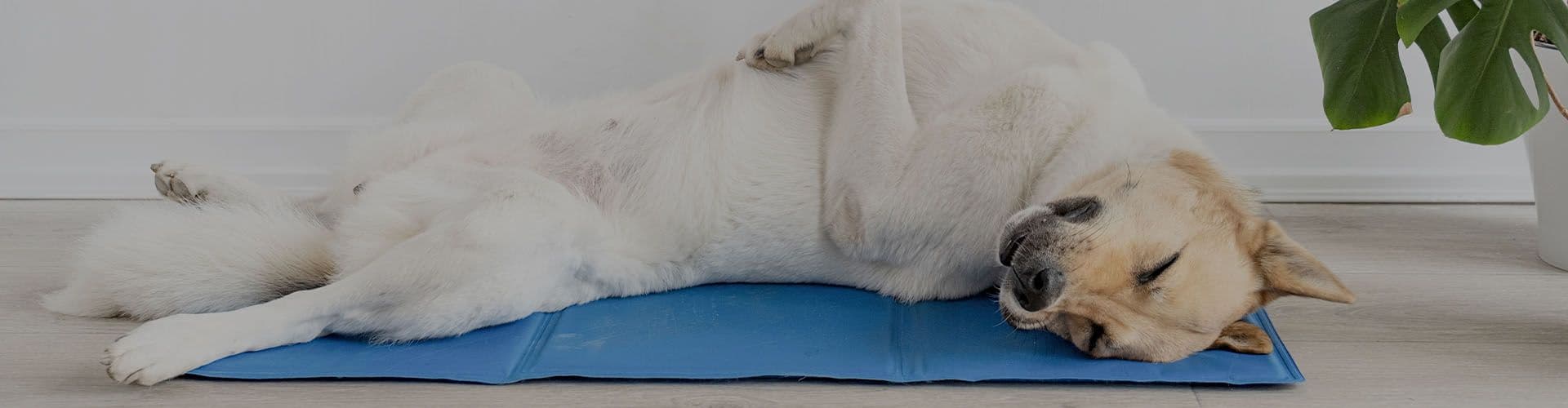 PET COOLING MAT