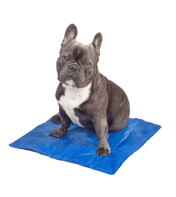 PET COOLING MAT