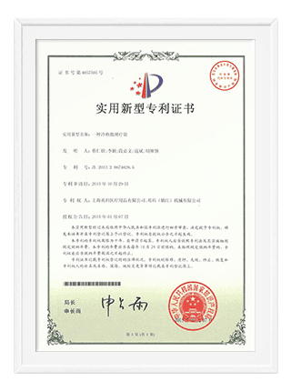 Patent 6