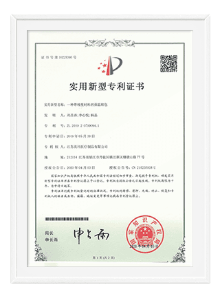 Patent 13