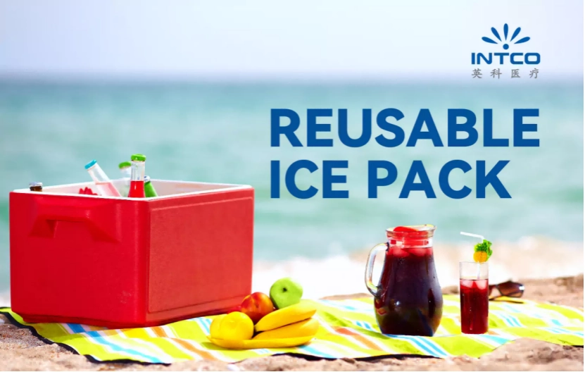 1ice pack for cooler