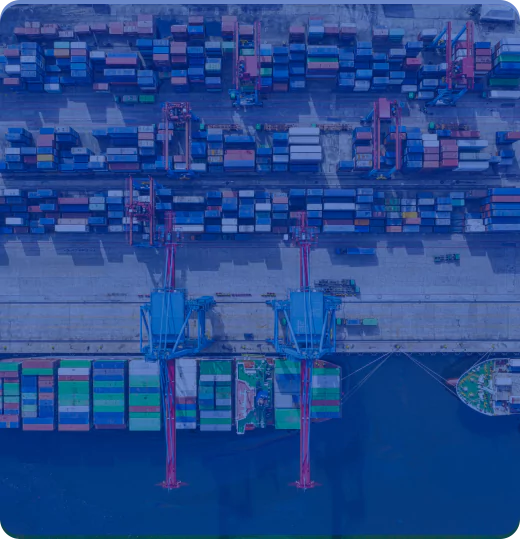 Centralized distribution for fast and efficient delivery