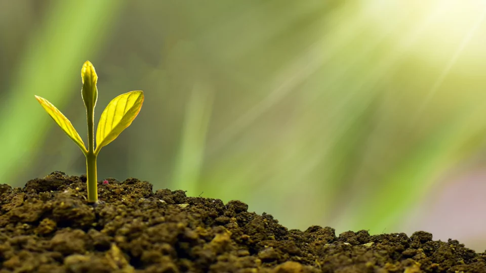 Green Manufacturing