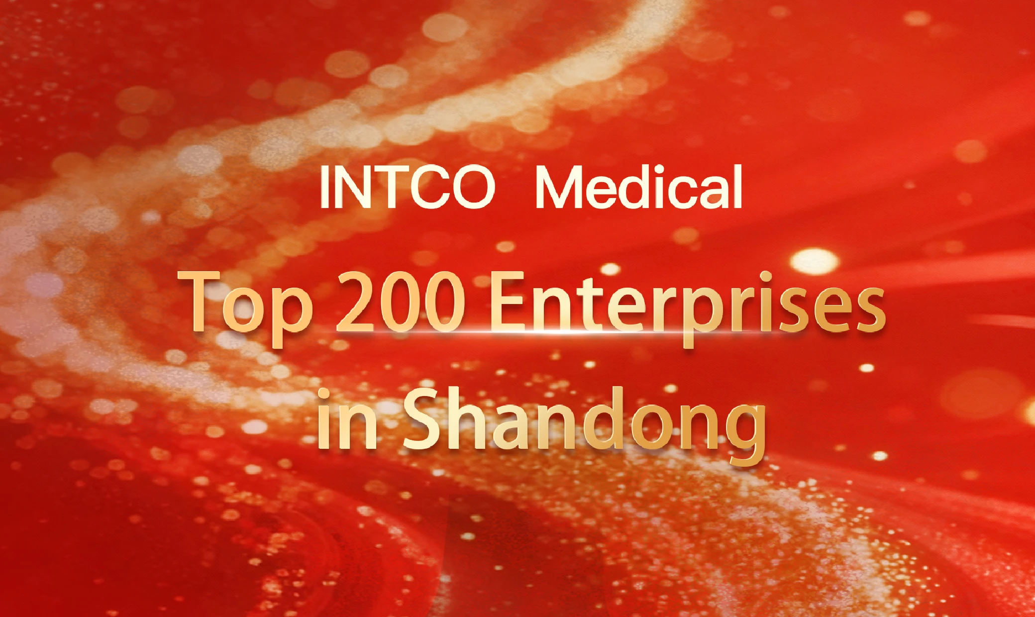 Top 200 Enterprises in Shandong Province for 2025